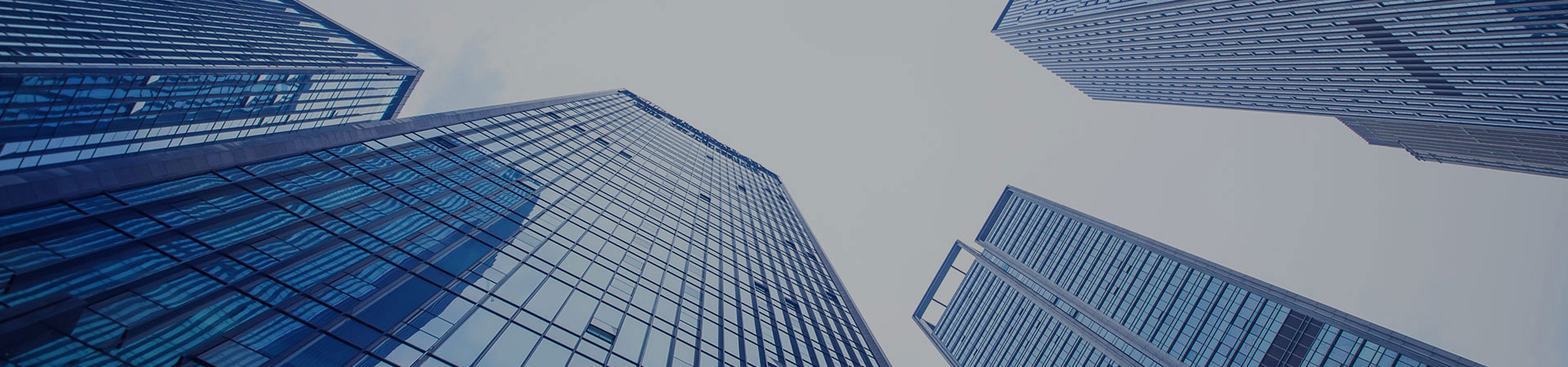 Organizational Structure
